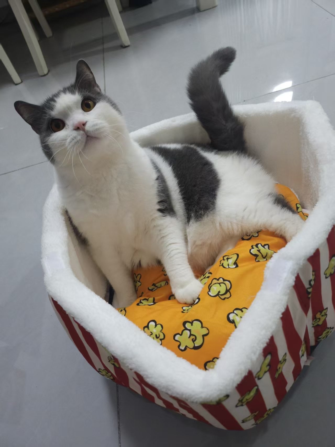 "Popcorn Bucket" Cat Bed