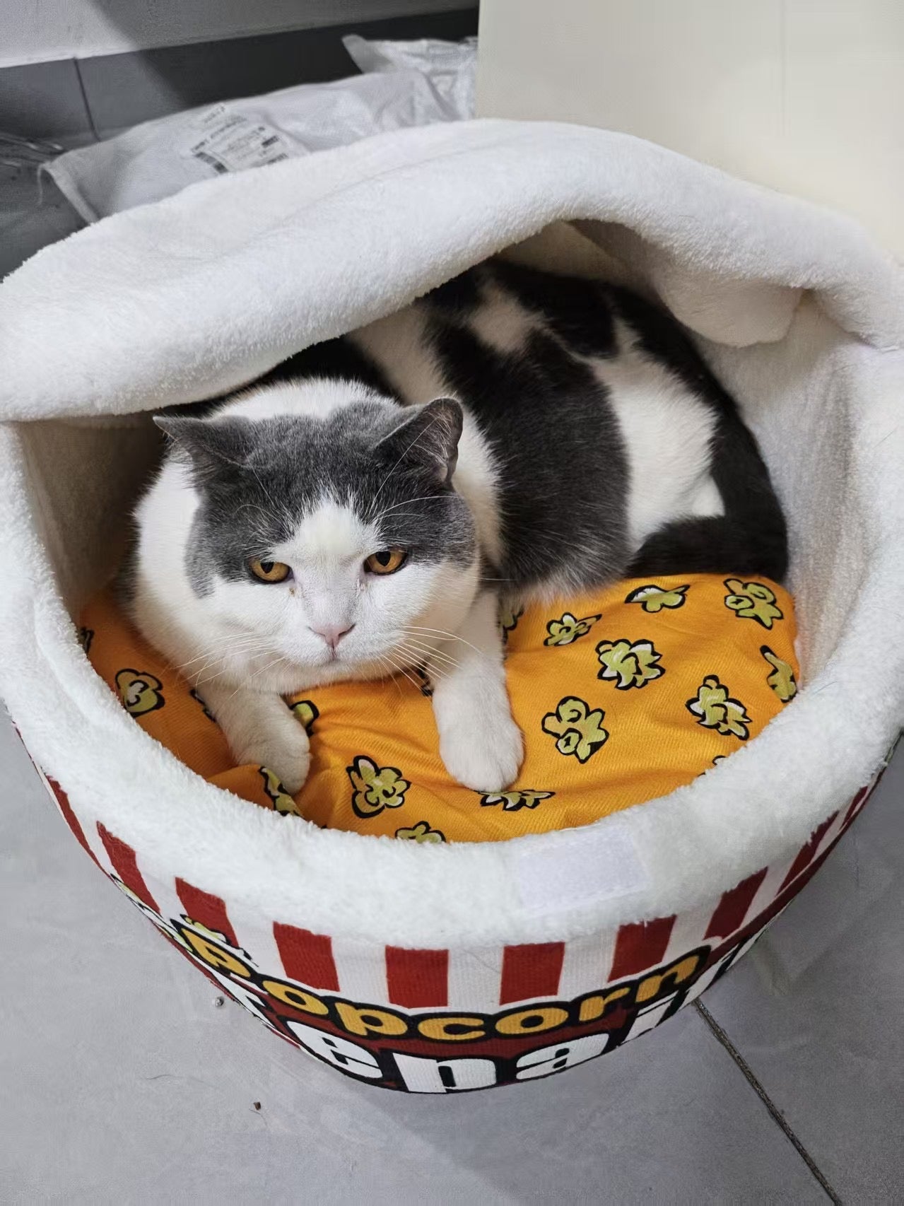 "Popcorn Bucket" Cat Bed