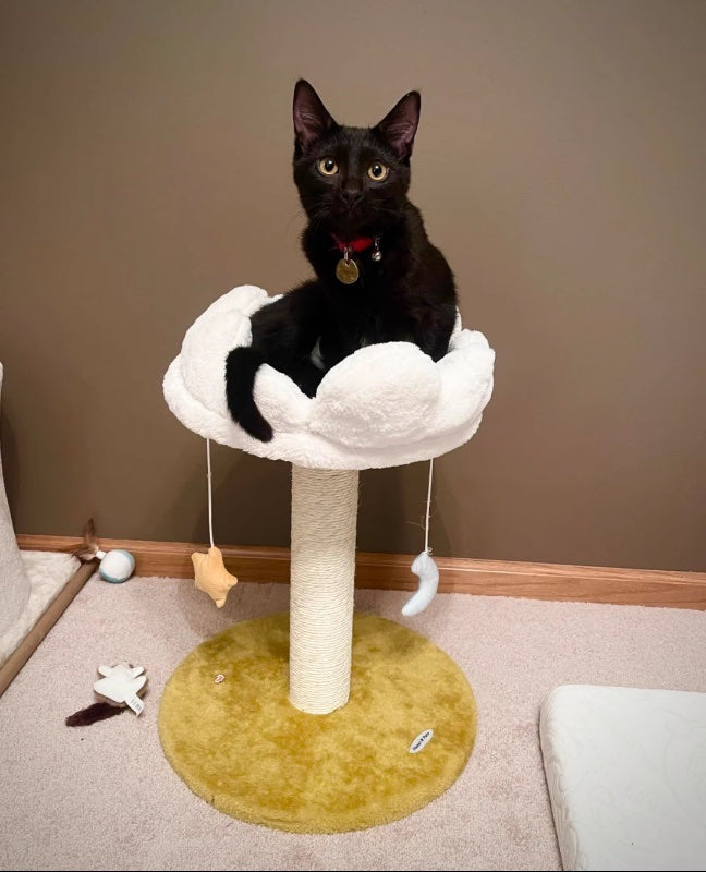 "Averie" Cat Tree